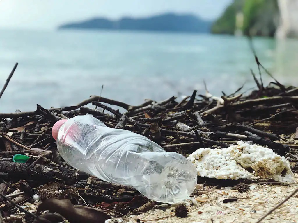 Giornata mondiale degli Oceani 2020, 8 giugno 2020, domus vini, vini vuoto a rendere