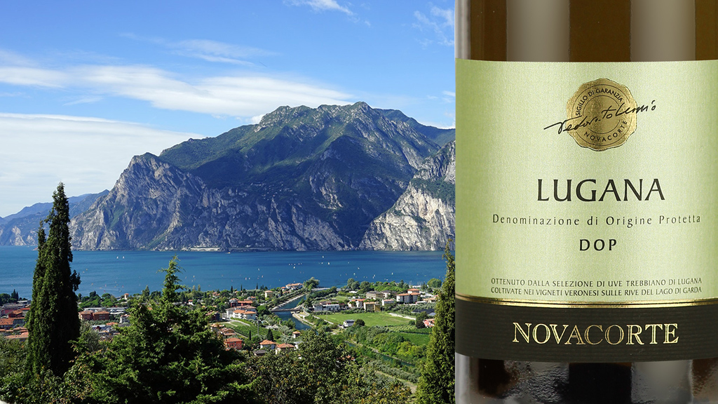 Label of Lugana DOC Novacorte, white wine by Domus Vini Winery