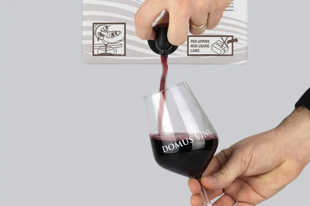 RED WINE IN BAG IN BOX DOMUS VINI