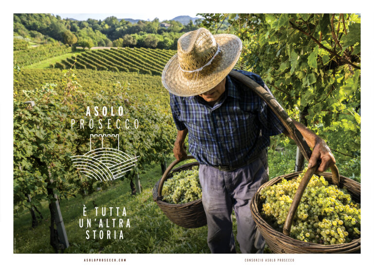 Asolo Prosecco: Unveiling the Charms of a Treasured Italian Sparkler